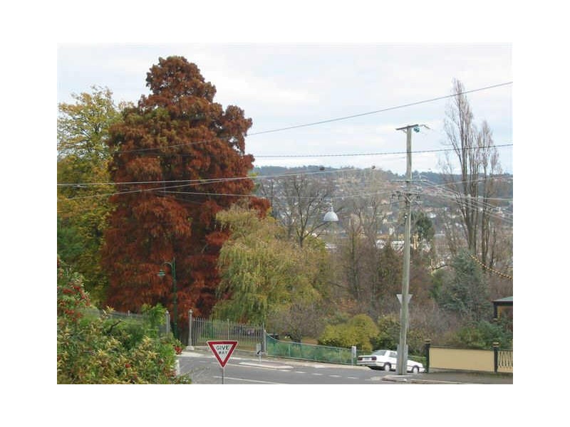 4/1A Brisbane Street, Launceston TAS 7250