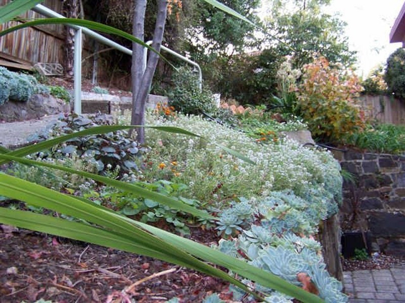 East Launceston TAS 7250