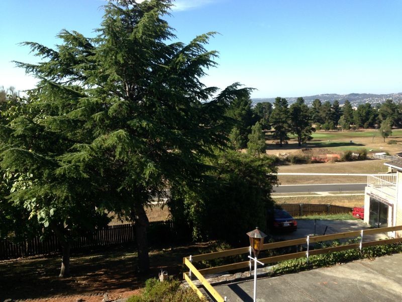 22 Crandon Crescent, Newnham TAS 7248