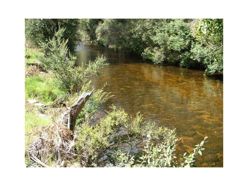 10 Upper Esk Road, Upper Esk TAS 7214