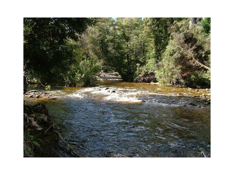 10 Upper Esk Road, Upper Esk TAS 7214
