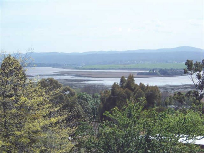 Riverside TAS 7250