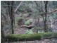 Greens Beach Road, York Town TAS 7270