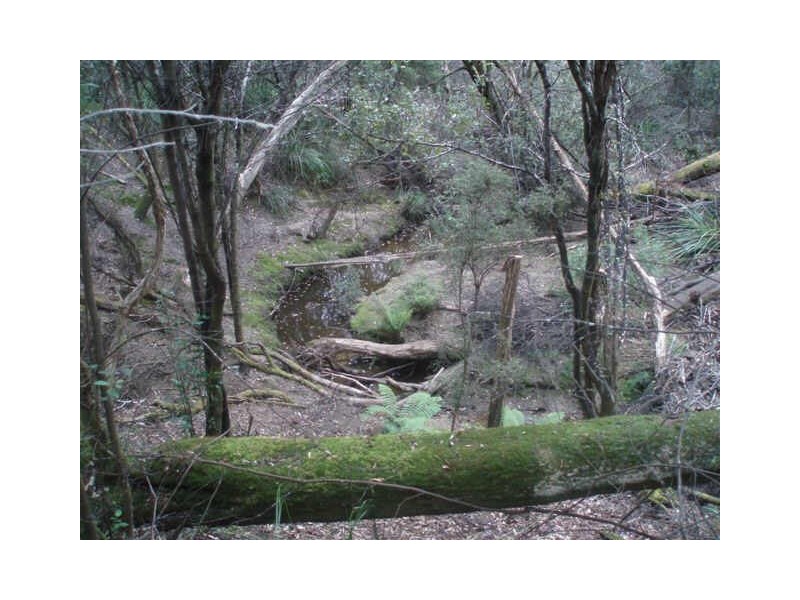 Greens Beach Road, York Town TAS 7270