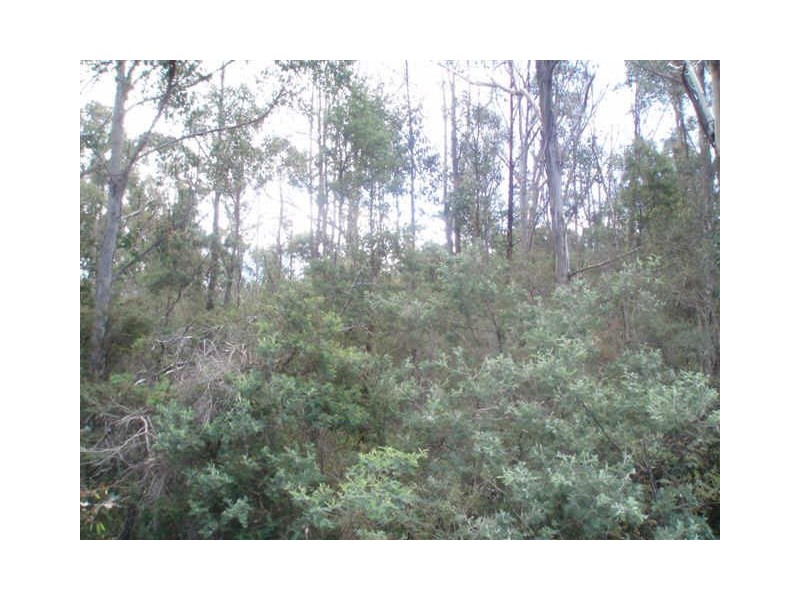 Greens Beach Road, York Town TAS 7270