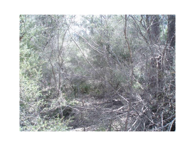 Greens Beach Road, York Town TAS 7270