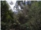 Greens Beach Road, York Town TAS 7270