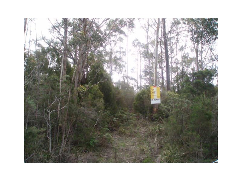 Greens Beach Road, York Town TAS 7270