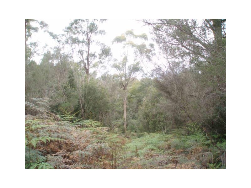Greens Beach Road, York Town TAS 7270