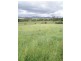Lot 2 Rowella Road, Rowella TAS 7270