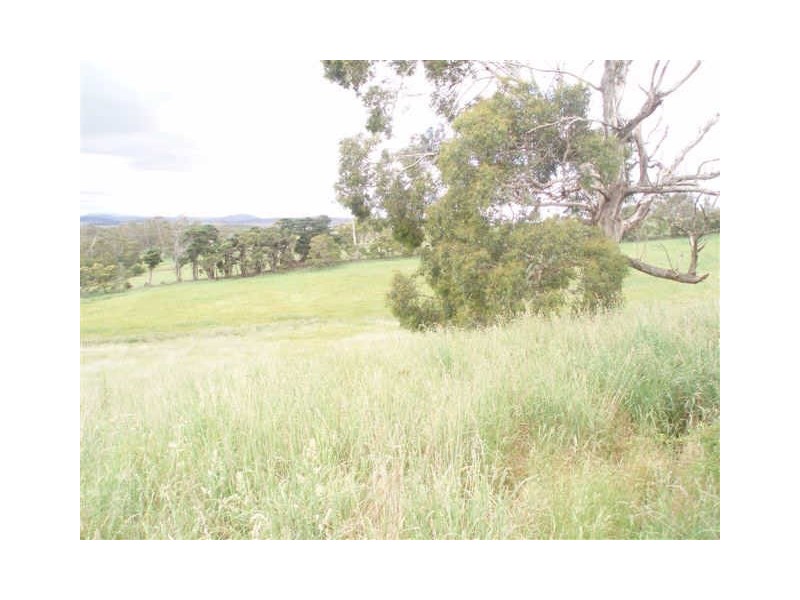 Lot 2 Rowella Road, Rowella TAS 7270