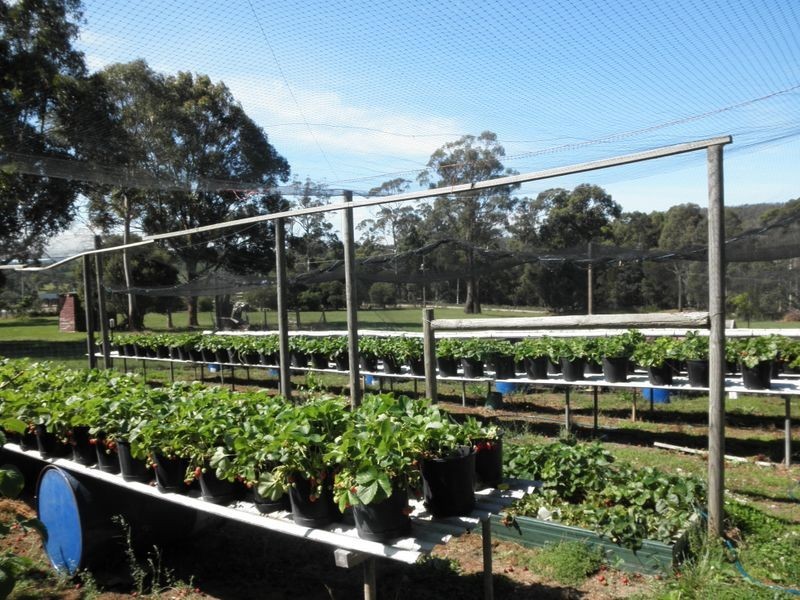 7 Jacques Road, Hillwood TAS 7252