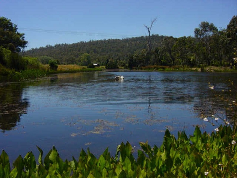 Hillwood TAS 7252