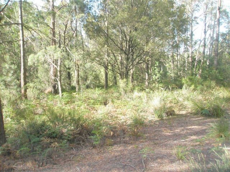 Mount Direction TAS 7252