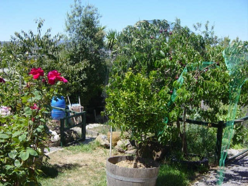 Riverside TAS 7250