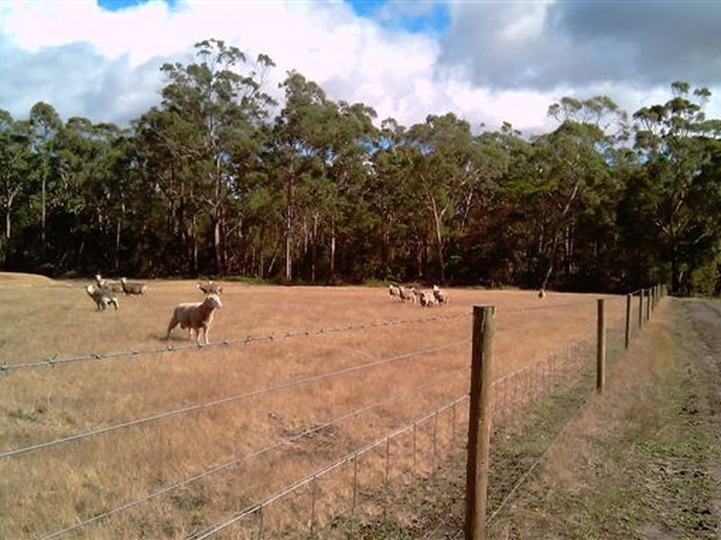 Bridgenorth TAS 7277