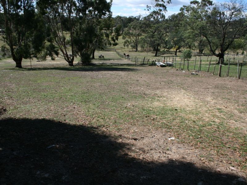 Devon Hills TAS 7300