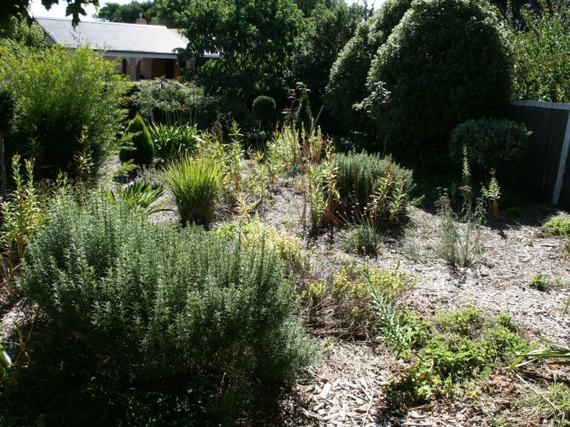 Devon Hills TAS 7300