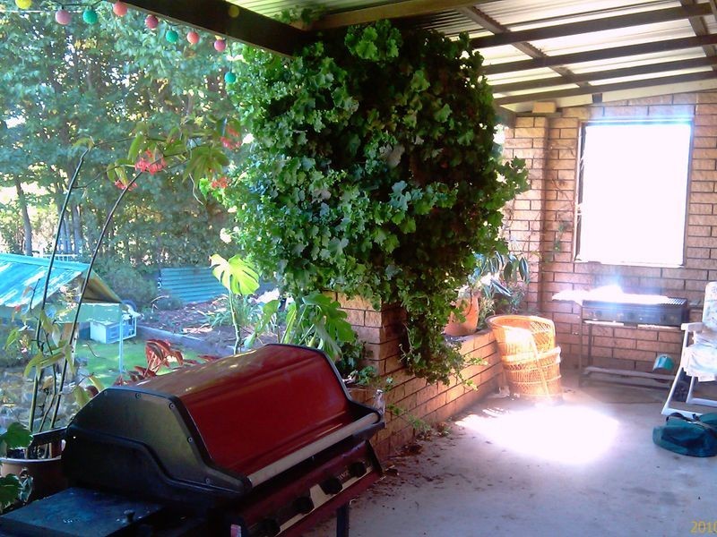 Mount Direction TAS 7252