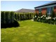 19 Trafalgar Drive, Prospect Vale TAS 7250