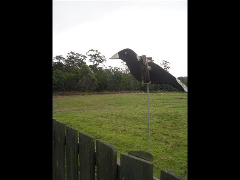 129 Everest Road, Exeter TAS 7275