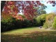 53 Forest Road, Trevallyn TAS 7250
