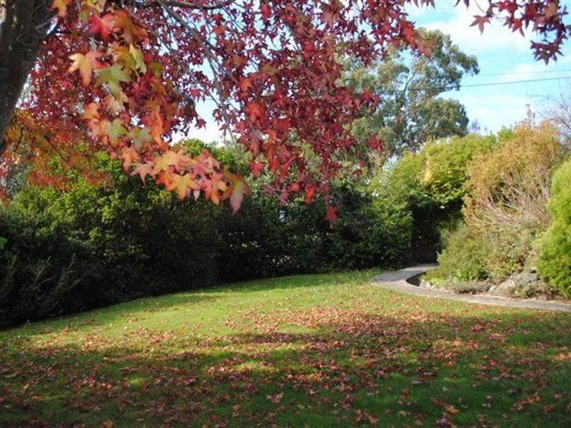 53 Forest Road, Trevallyn TAS 7250