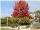 53 Forest Road, Trevallyn TAS 7250