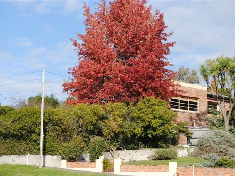 53 Forest Road, Trevallyn TAS 7250