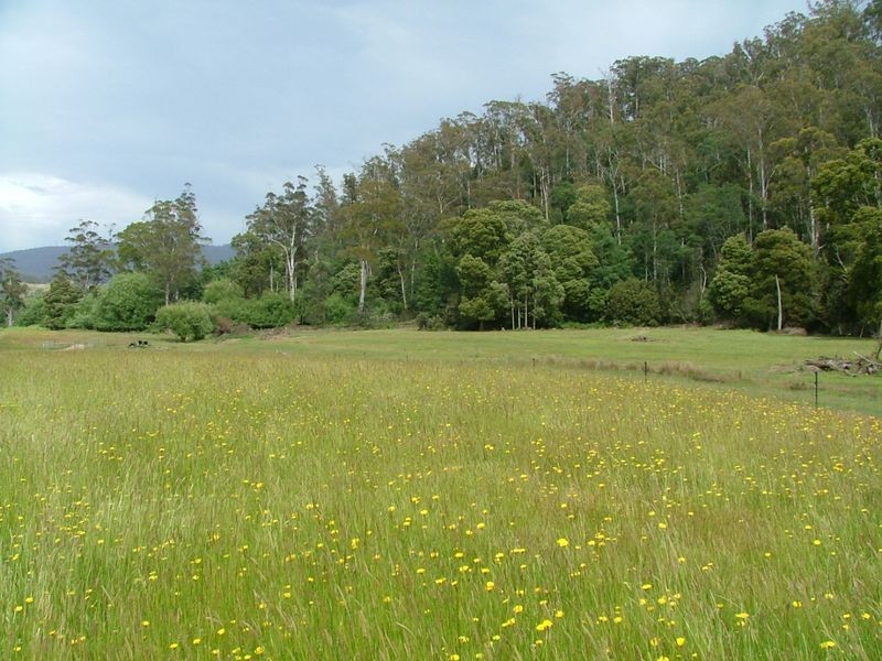 408 Second River Road, Karoola TAS 7267