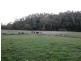 408 Second River Road, Karoola TAS 7267