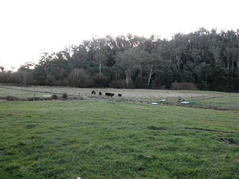 408 Second River Road, Karoola TAS 7267