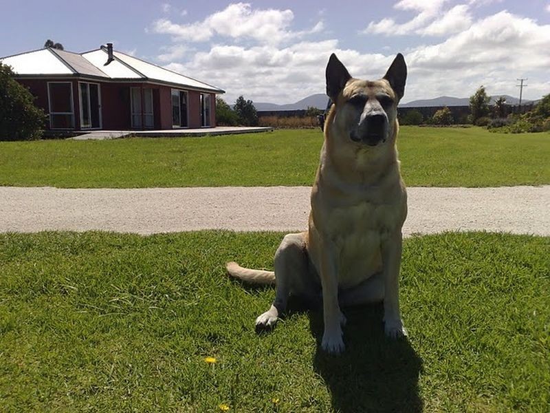 28 Butter Factory Road, Whitemark TAS 7255