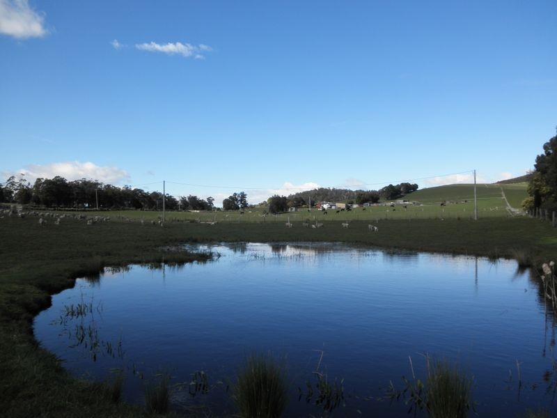 2290a Pipers River Road, Pipers River TAS 7252