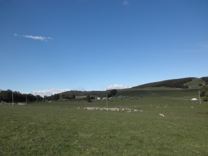 2290a Pipers River Road, Pipers River TAS 7252