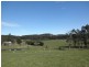 2290a Pipers River Road, Pipers River TAS 7252