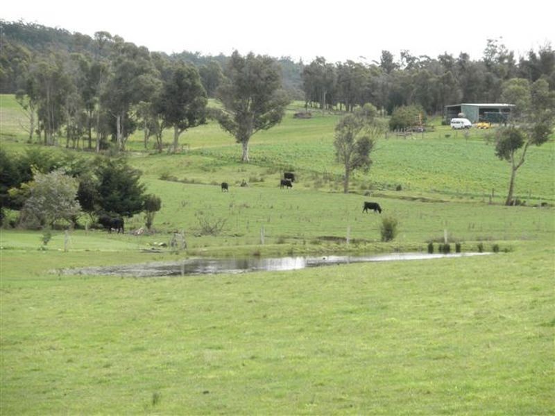 2290a Pipers River Road, Pipers River TAS 7252