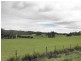 2290a Pipers River Road, Pipers River TAS 7252