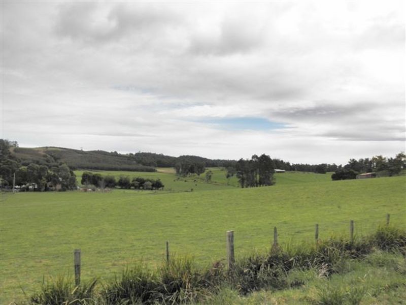 2290a Pipers River Road, Pipers River TAS 7252