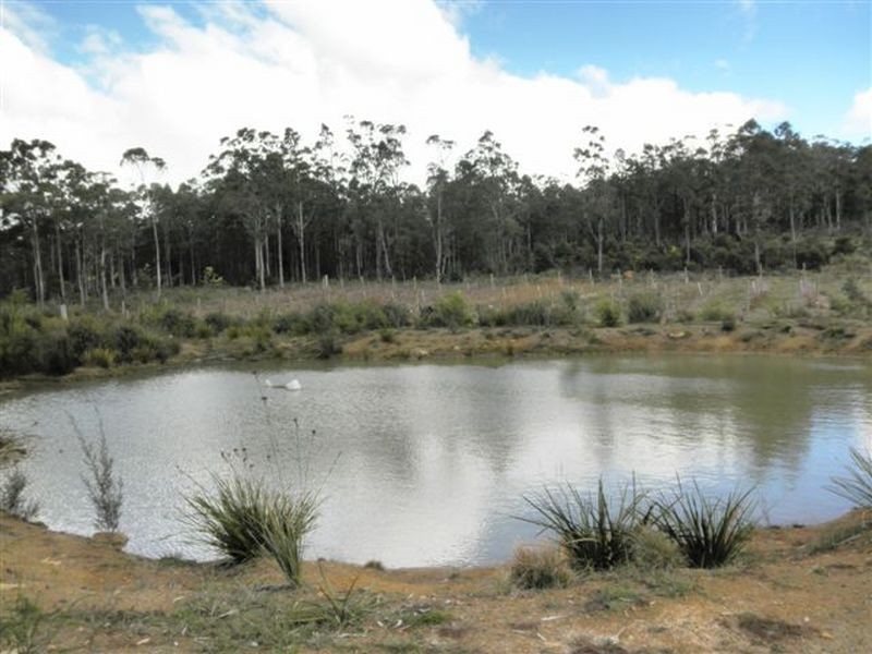 231 Pipers River Road, Turners Marsh TAS 7267