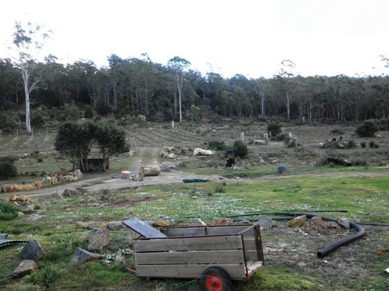 231 Pipers River Road, Turners Marsh TAS 7267