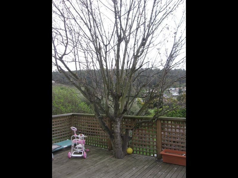 4 Westbury Road, South Launceston TAS 7249