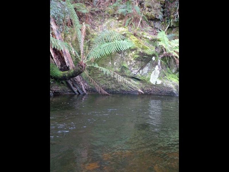 Upper Esk TAS 7214