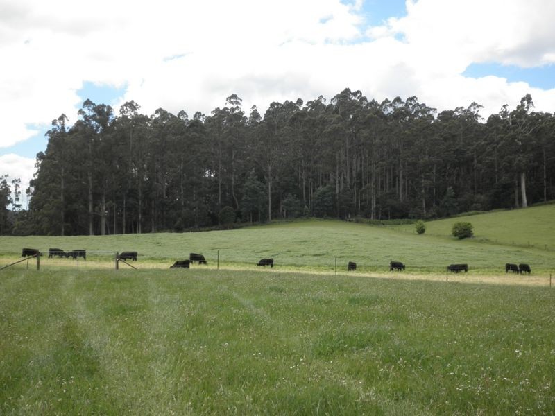 65 Staubi Road, Lilydale TAS 7268