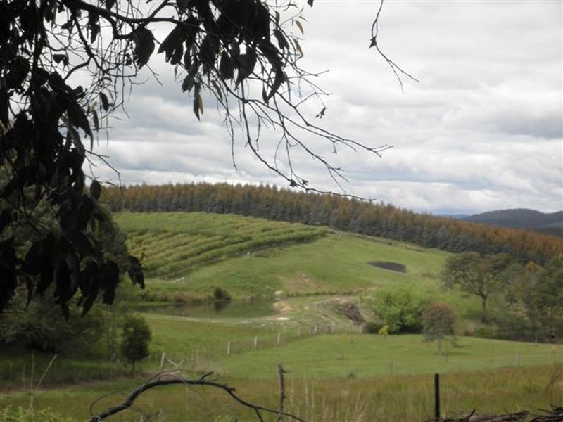 516 Golconda Road, Lilydale TAS 7268