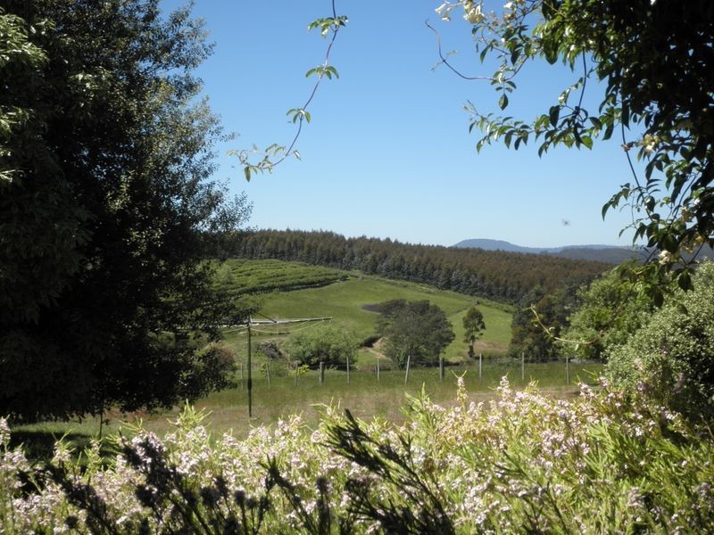 516 Golconda Road, Lilydale TAS 7268