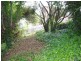 36 Parua Road, Newnham TAS 7248