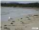 20 Pars Road, Greens Beach TAS 7270