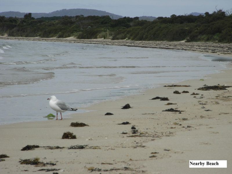 20 Pars Road, Greens Beach TAS 7270