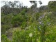 20 Pars Road, Greens Beach TAS 7270
